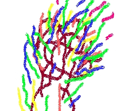 Pain at Wu Pain at Wu