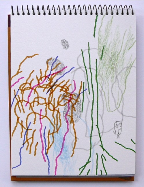 What is around the pain?