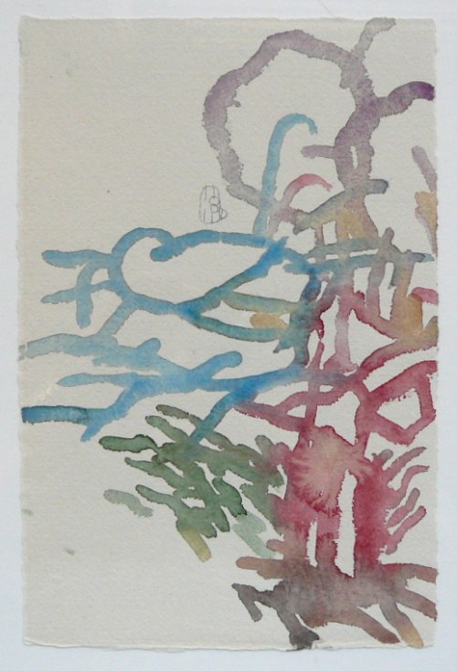 Trauma and the way nature goes on