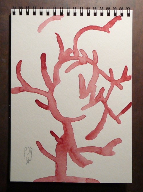 As a child in wonder