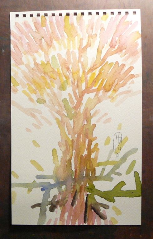 I want to break through and flourish