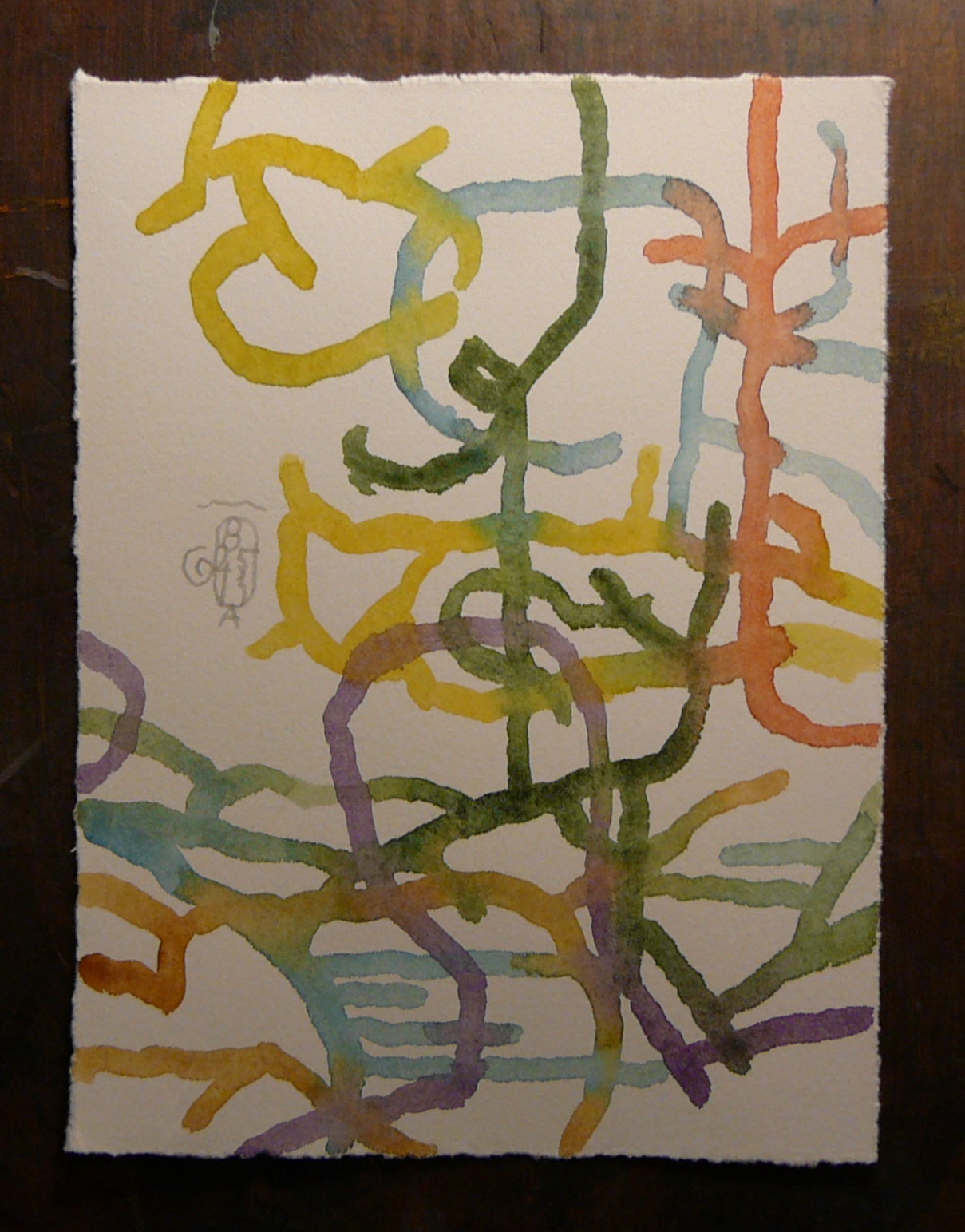 The way the roots develop