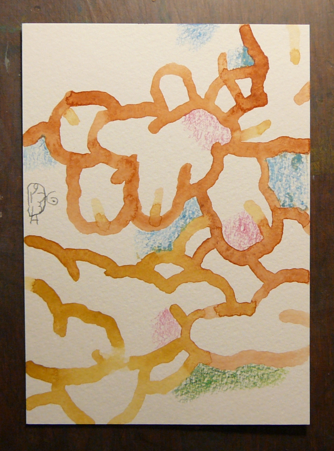 The ongoing creation of the world